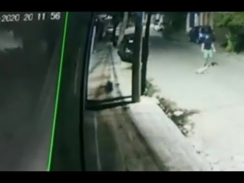 Cámara de videovigilancia capta a un hombre maltratando a su perro