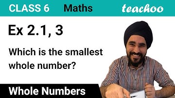 Ex 2.1, 3 - Which is the smallest whole number? - Chapter 2 Class 6 - Teachoo