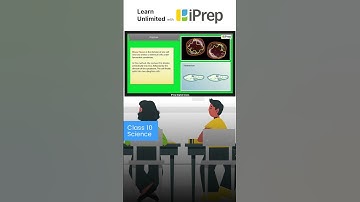 Binary Fission | How Do Organisms Reproduce? | Science | Class 10 | iPrep  #iprep  #education #learn