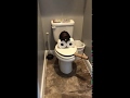 Smoking toilet prank