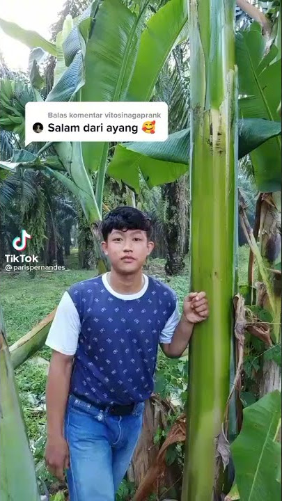 viral... paris pernandes salam dari binjai