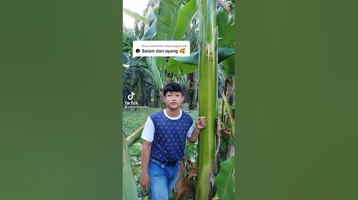 viral... paris pernandes salam dari binjai