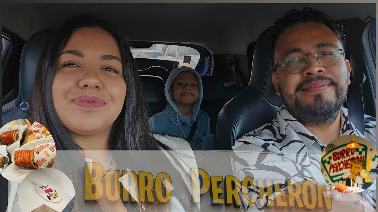 A Burro Percheron Ens