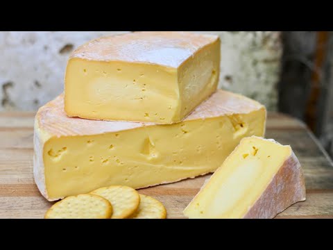 Muenster Cheese Recipes Pasta
