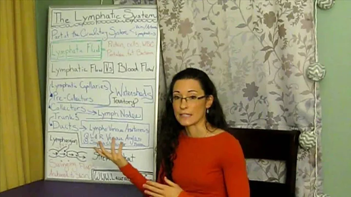 What is the Lymphatic System? --LauraGYoga