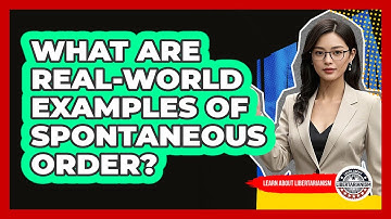 What Are Real-World Examples Of Spontaneous Order?