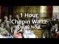 [1Hour] 쇼팽왈츠 Chopin Waltz Op.69 No.2
