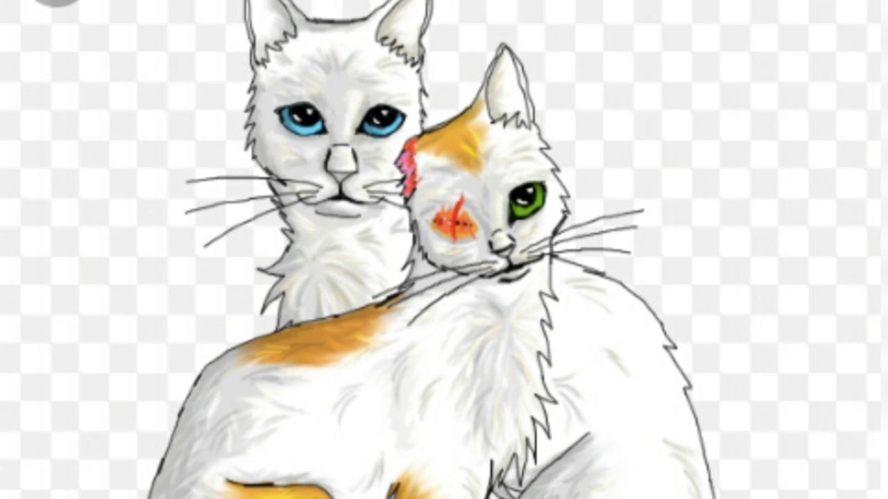 Как нарисовать двух котов