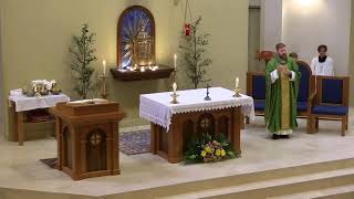 15th Sunday of Ordinary Time,  July 13, 2024