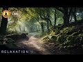 🔴 Relaxing Music 24/7, Sleep Music, Stress Relief Music, Meditation, Zen, Forest Ambience, Rain