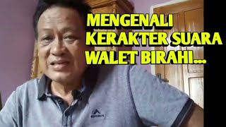 MENGENALI KERAKTER SUARA WALET.