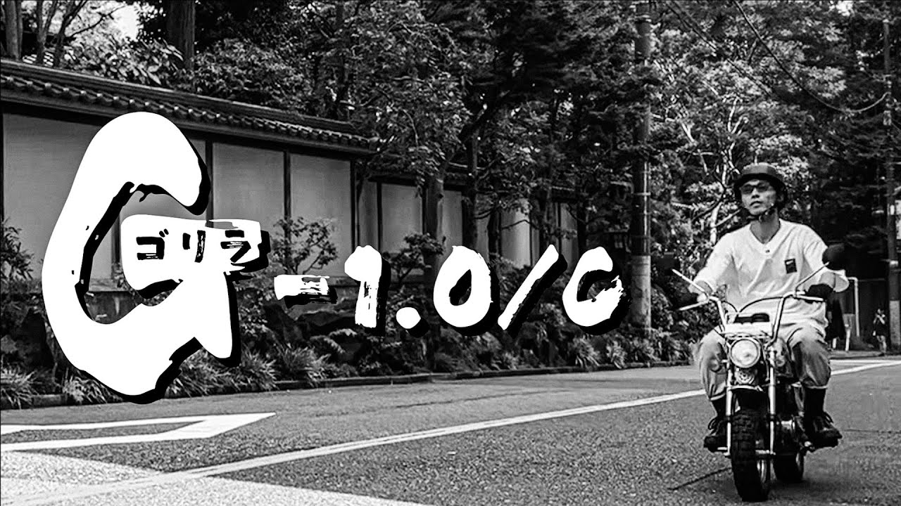 ゴリラ-1.0/C