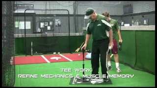 Pro Series Hitters Training