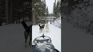 Have you ever gone dog sledding? 🐕