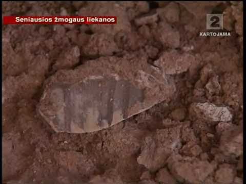 Video: Karalienė Arnegunda Kaip Prancūzų Tutankhamunas: Mokslininkai Išsprendė Senovės Kapo Paslaptį - Alternatyvus Vaizdas