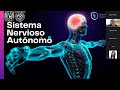 SNS y SNA (Zoom) | Asesorías de farmacología 2024