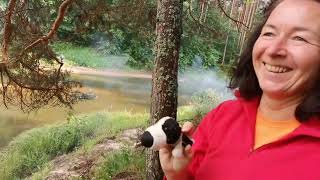 видео: Река Рессета. июль 2023 картинка: Река Рессета. июль 2023