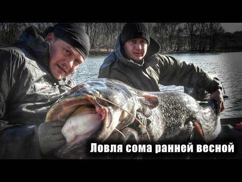 Рыбалка на сома ранней весной. Февраль 2017 Рыбалка на сома ранней весной. Февраль 2017