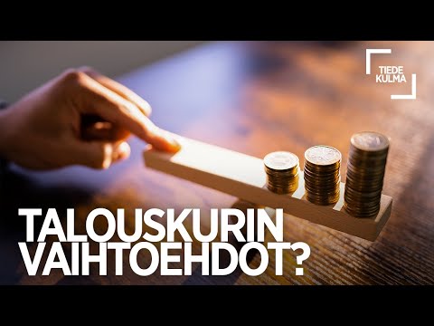 Video: Mukautettu tulisija ideoita olohuoneeseen