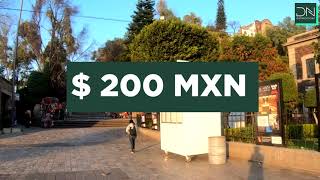 Baptisms at the Village 2023. Updated cost and requirements