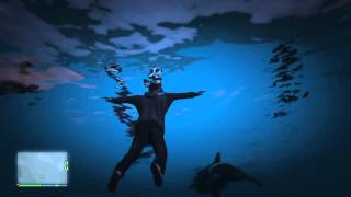 〈GTA5 〉シャチの群れに遭遇！！！ screenshot 3