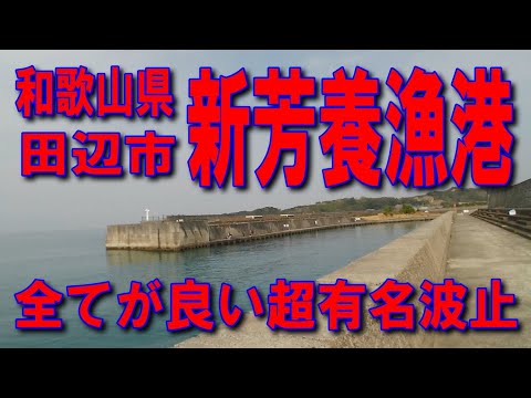 #167和歌山県新芳養漁港全てが良い超有名波止左側見草みはらしパーキング国道42号南紀白浜IC紀勢自動車道無料区間道の駅くちくまの南紀田辺IC無料区間きれいな漁港安全な釣り場規模の大きい釣りに最適漁港