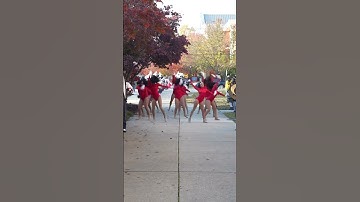 Delaware State D’Elegance Dance Team 🩵❤️🐝💃🏾