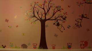 Kids room wall sticker monkey and owl zooyoo