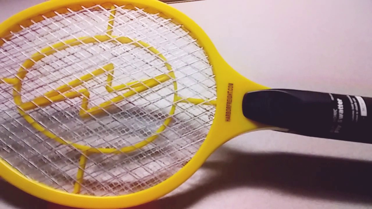 Harbor Freight free item Electric fly swatter YouTube