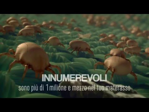 Video: Come Sbarazzarsi Di Un Acaro Dell'orecchio