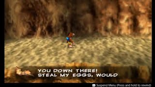 Terry // Banjo-Tooie (Nintendo Classics)