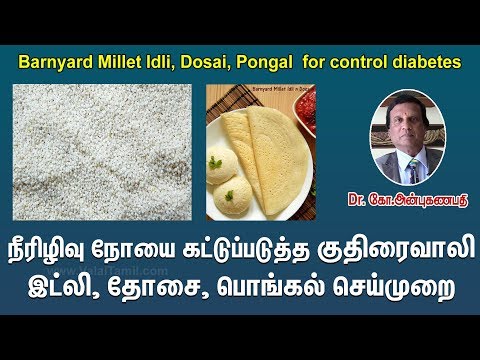 நீரிழிவு நோயை கட்டுப்படுத்த சுவையான குதிரைவாலி இட்லி, தோசை, பொங்கல்| Kuthiraivali Idli,Dosa,Pongal