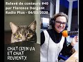 Relev de conteurs 40  chat sen va et chat revient