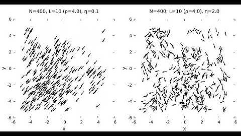 Velocity morphologies of Vicsek particles in low and high noise