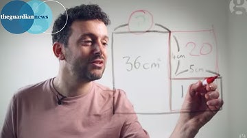 The area maze puzzle - can you solve it? | Alex Bellos puzzles