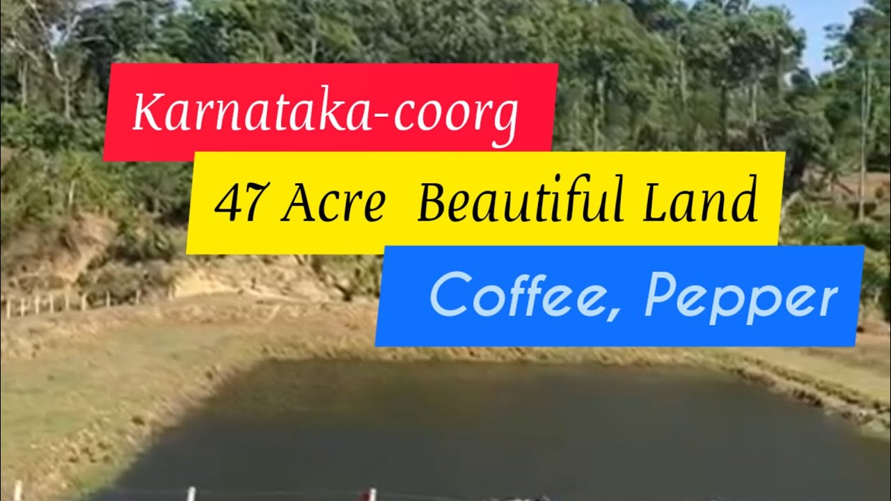47 Acre Beautiful Coffee Pepper Estate For Sale Karnataka
