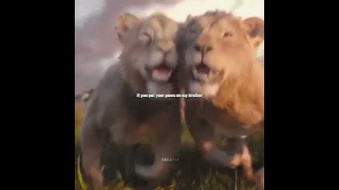 Thumbnail of what did you say about my brother #lyrics #mufasa #tiktok | I always wanted a brother