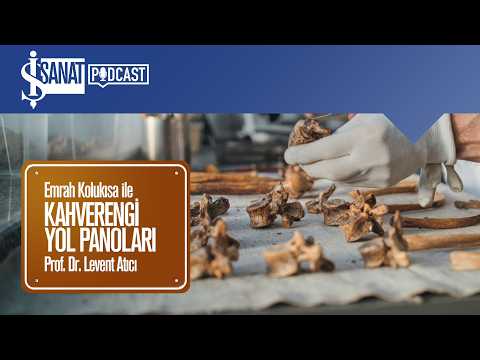 Kahverengi Yol Panoları | Prof. Dr. Levent Atıcı