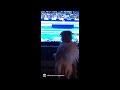 Funny dog is jumping up and down in front of the TV!