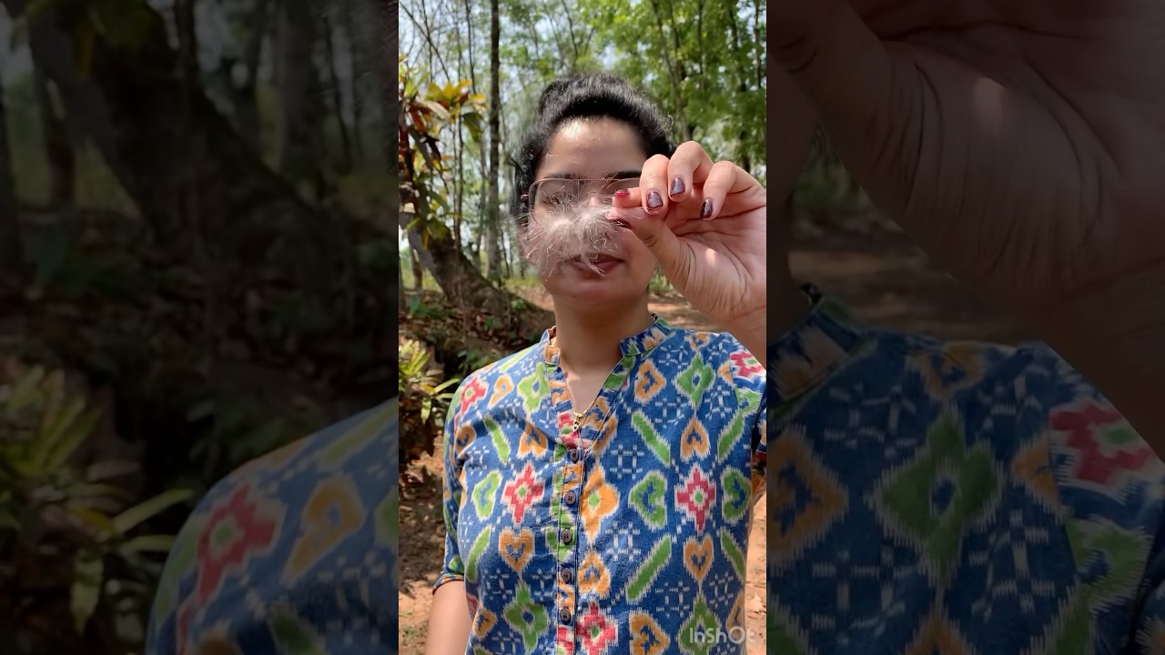 Memories from 2023 solo trip! #pravasi #pravasikerala #kottayam #malayalam #trendingshorts