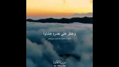 أَفَرَأَيْتَ مَنِ اتَّخَذَ إِلَٰهَهُ هَوَاهُ  (23) ... سورة  الجاثية