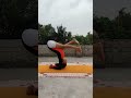 Advance Hand Balance ✨#yogagirl #youtubeshorts #youtube