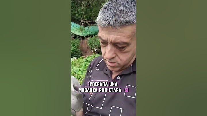 Cómo organizar tu mudanza al campo paso a paso