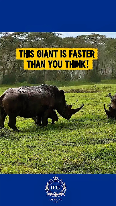 The Gentle Giant That Can Outrun You‼️