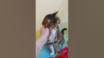 0 02 05 e937cfe39c7dd632ff1a01e83b0beba7540ef66bf626ca9f3a854ae731561bbe 58feb5120a793ee2