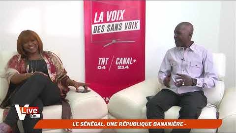 Fadilou Keïta arrêté, "Le dossier des 94 milliards fait entrer Mamour Diallo à Sweet Beauty"- Wathie
