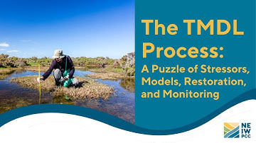 The TMDL Process: A Puzzle of Stressors, Models, Restoration, and Monitoring