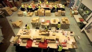 air cargo carriers - Beverley Lynair International Pvt Limited