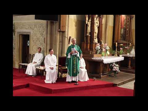 Video: Kolik blahoslavenství je katolických?