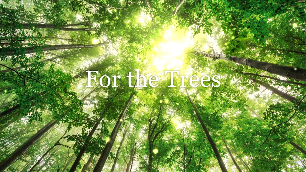 For the Trees - YouTube